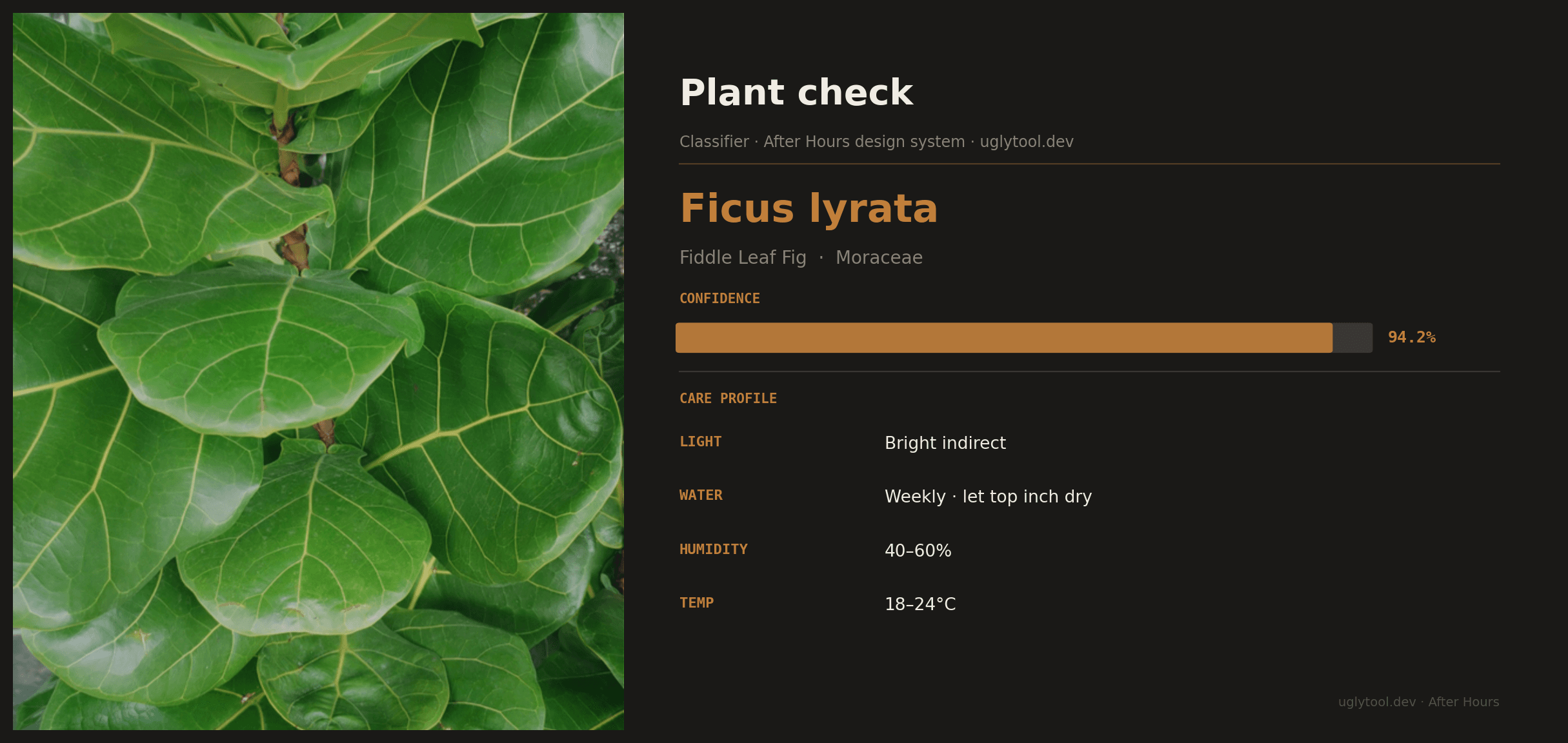 After Hours — Species classification system
