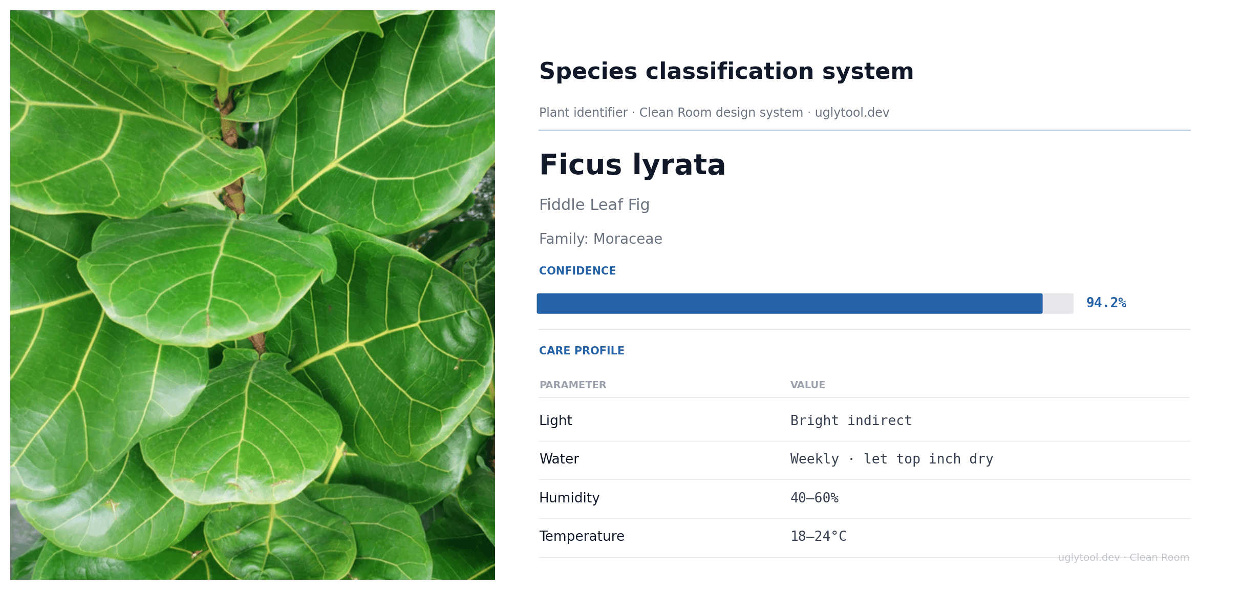 Clean Room — Species classification system