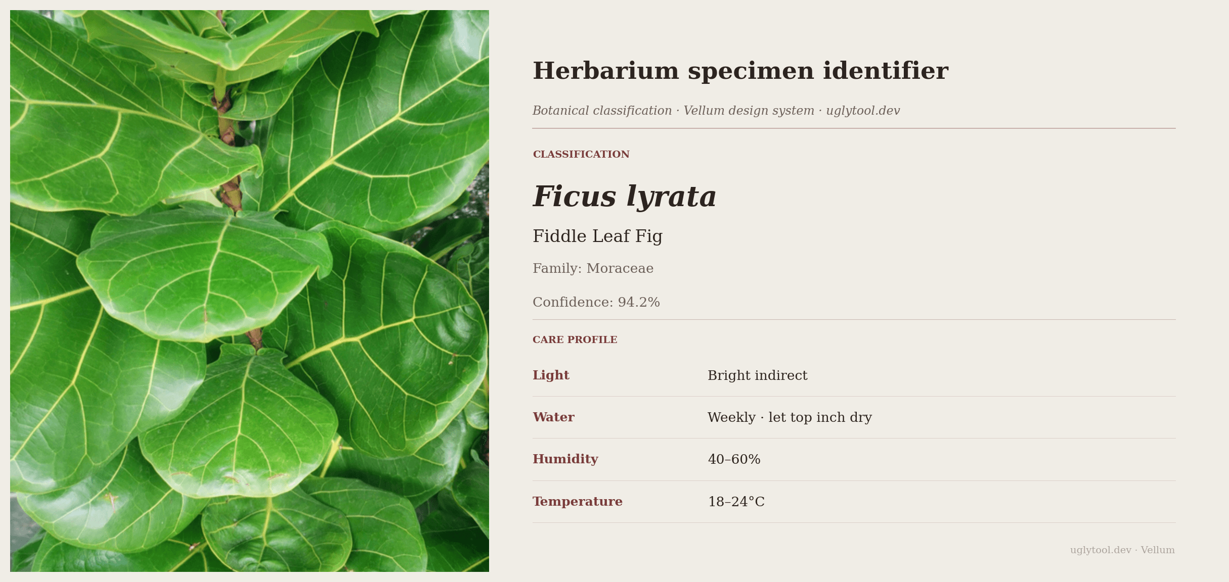 Vellum — Species classification system